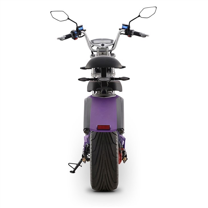 DAYI 25KM/H E-Thor 2.0A Electric Scooter